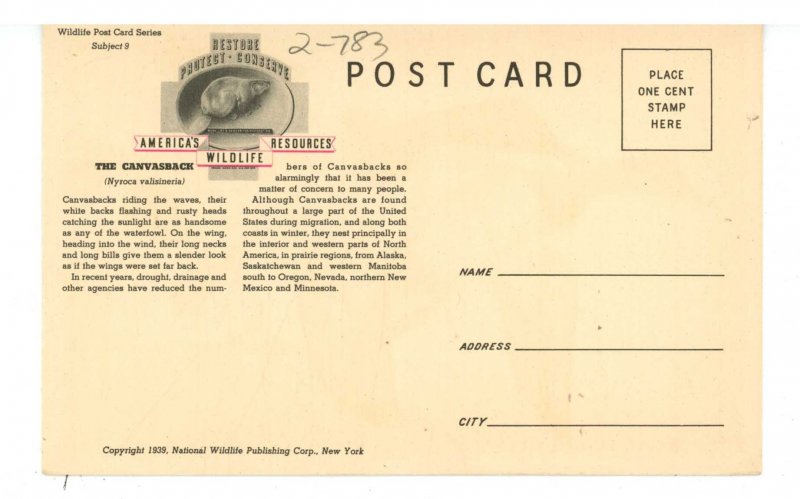 Birds - The Canvasback, Female & Male