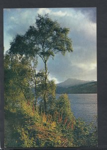 Scotland Postcard - Loch Ness and Mealfourvonie, Inverness-shire RR5979