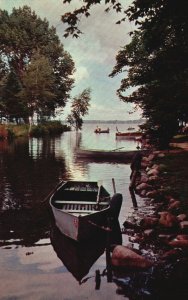 Vintage Postcard Trees Cool Shadows Channel Bet. Lakes Mitchell & Cadillac Mich.