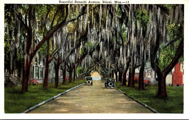 Mississippi Biloxi Beautiful Benachi Avenue