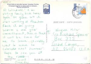 Canada Prairies.  Wheat Fields at rest