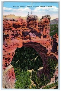 View Of Natural Bridge Bryce Canyon National Park Utah UT Vintage Postcard 