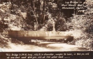 Log Bridge In Muir Woods National Monument California 1944 Real Photo