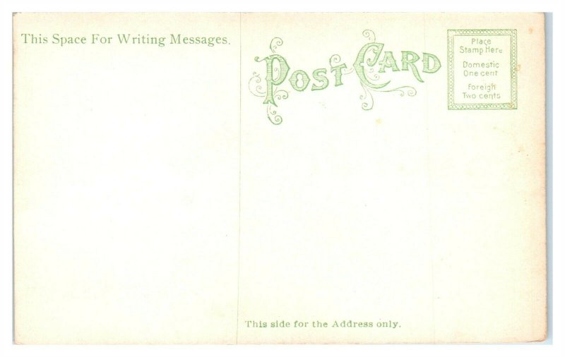 White River Ferry near Eureka Springs, AR Postcard *6S(3)3