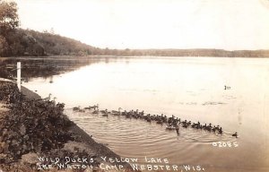 Wild Ducks Yellow Lake Ike Walton Camp, Real Photo - Webster, Wisconsin WI  