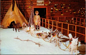 Luxton Museum Banff Alberta Woodland Cree Dog Team Carriole Unused Postcard F85
