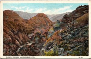 Olokele Canyon and Olokele Ditch Kauai HI Vintage Postcard V41