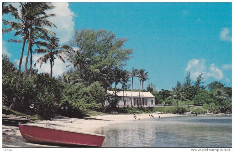 Children swimming at Mangrove Bay in Somerset at West End of Bermuda, 40-60s