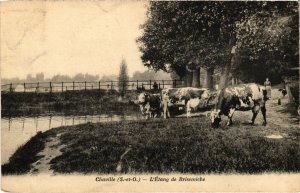 CPA Chaville Etang de Brisemiche (1314648)