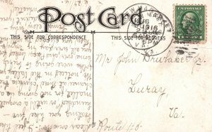 I Can Prove That I Didn't Do The Comic Dog Muzzle Vintage Postcard 1916