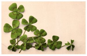 Flowers , Leafs