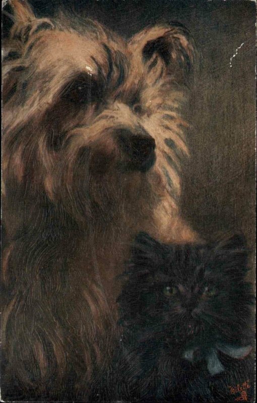 TUCK Pet Dog & Kitten Cat Maud West Watson c1910 Postcard 