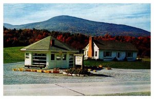 Postcard SHOP SCENE Arlington Vermont VT AR4821