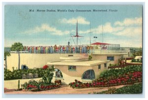 1950 Marine Studios World's Only Oceanarium Marineland Florida FL Postcard