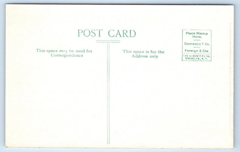 SIMILKAMEEN VALLEY, British Columbia Canada ~ BIRDSEYE 1910s Albertype Postcard