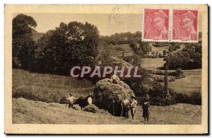 Old Postcard Auvergne The re-entry of hay