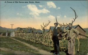 Butte MT A Fence of Elk Horns c1910 Postcard