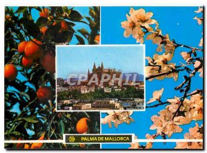 Modern Postcard Palma de Mallorca Narandjos y flor de Almendro
