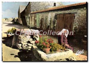 Postcard Modern Ile D'Oleron A Vieux Puits