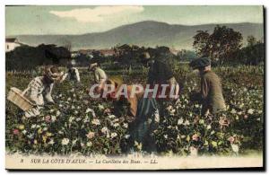 Old Postcard picking roses Cote d & # 39Azur