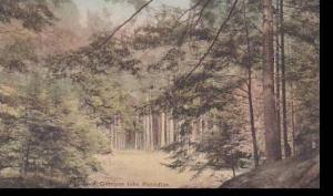 Vermont Windsor A Glimps Into Paradise Albertype