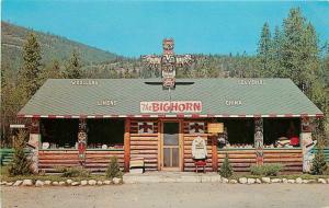 Bighorn Yahk BC Canada 1940s Donaldson Dexter postcard 6090