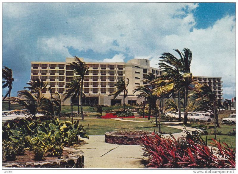 Palm Trees, Gardens Outside L'hotel Meridien, Martinique, Caribbean, Antilles...