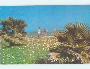 Pre-1980 NATURE SCENE Santa Barbara California CA AD2548