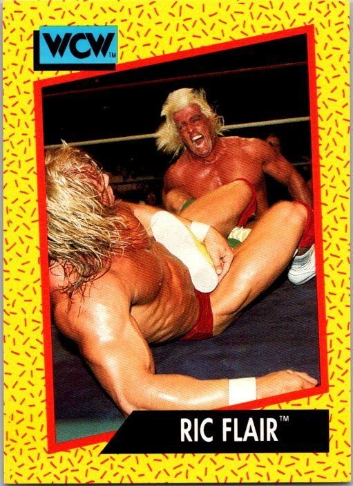 1991 WCW Wrestling Card Ric Flair sk21163