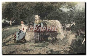 Old Postcard Goat Young chevrieres