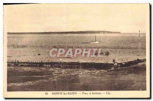 Old Postcard Ronce les Bains Parc buitres