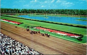 Thrilling Horse Race Hialeah Race Course FL Florida VTG Postcard UNP Unused 