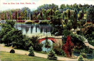 Illinois Peoria View In Glen Oak Park 1908