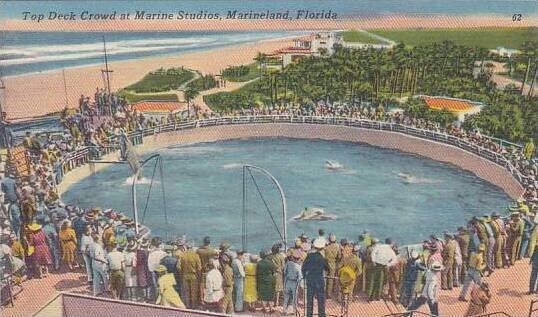 Florida Marineland Top Deck Crowd At Marine Studios