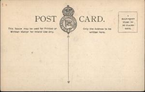 Royal Mail Steamship RMSP Orotava & Flags c1910 Postcard