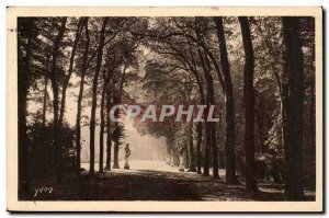 Versailles Old Postcard Allee of & # 39ete