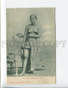 3173799 CEYLON nude Singhalese Girl Vintage postcard