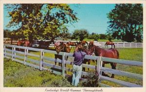 Kentucky Lexington Blue Grass Horse Farm