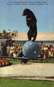 Sarasota, Florida, FL  