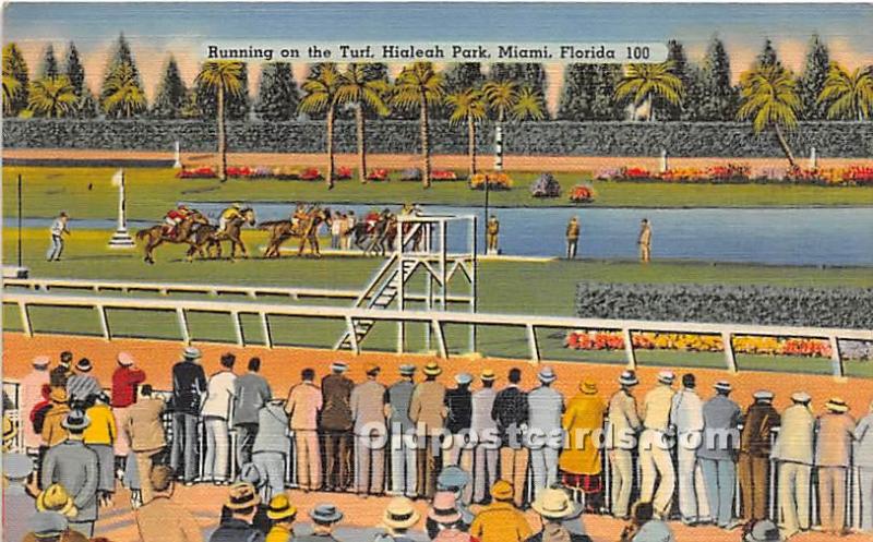 Running on the Turf, Hialeah Park Miami, Florida, FL, USA Horse Racing 1946 