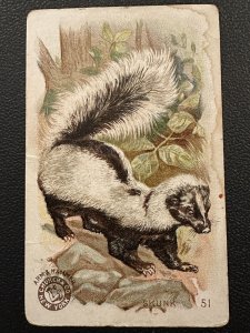 c1900s Trade Card Arm Hammer Church & Dwight Co Interesting Animals Skunk