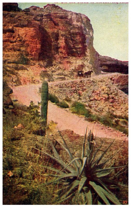 Arizona On the road to Roosevelt , Carriage thru the plains