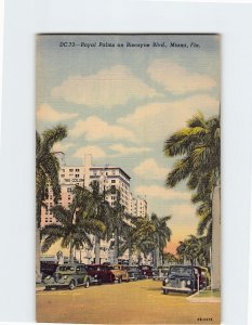 Postcard Royal Palms on Biscayne Blvd. Miami Florida USA