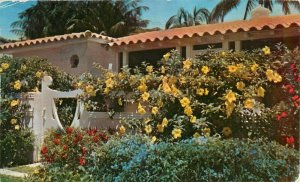 Postcard Flowering Shrubs, Vines and Tropical Blossoms, Florida Posted 1955