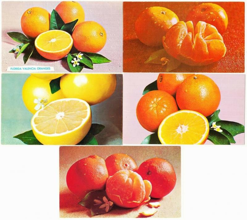 5 Advertising Postcards for Florida Department of Citrus Orange Grapefruit 1970s