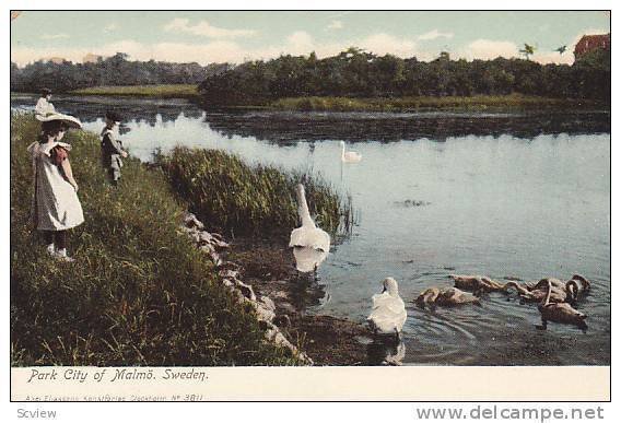 Children, Swans, Park City Of Malmo, Sweden, 1900-1910s