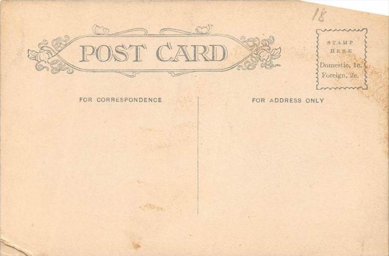 Pennsylvania   Williamsport   Bridge