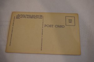 94 Cathedral Spires from Switchback on Needles Road State Park Postcard