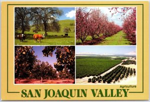 VINTAGE CONTINENTAL SIZE POSTCARD MULTIPLE SCENES AT SAN JOAQUIN VALLEY CALIF B