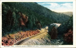 Mohawk Trail Mountain Shelf Cold River WB Postcard VTG UNP Vintage Unused 